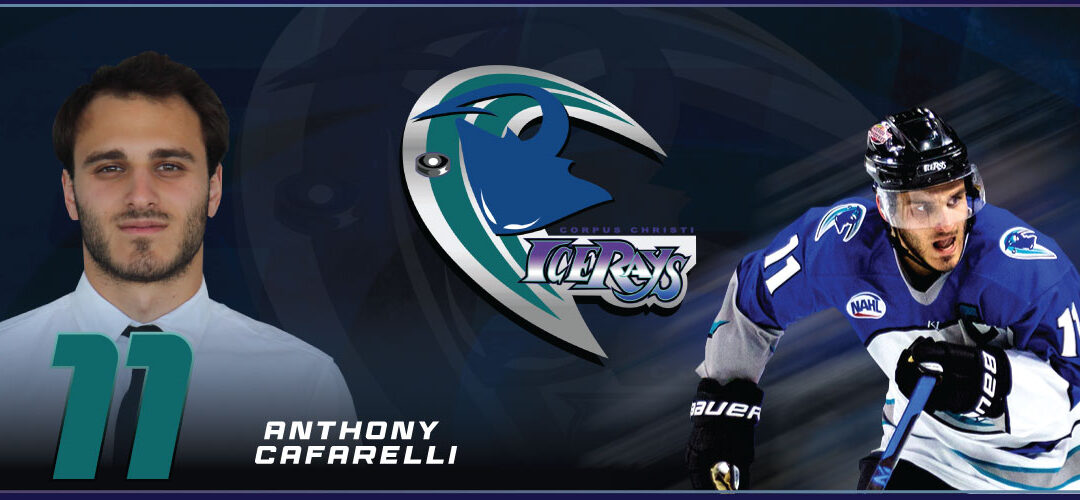 Cafarelli Embraces Being The Anchor For the IceRays