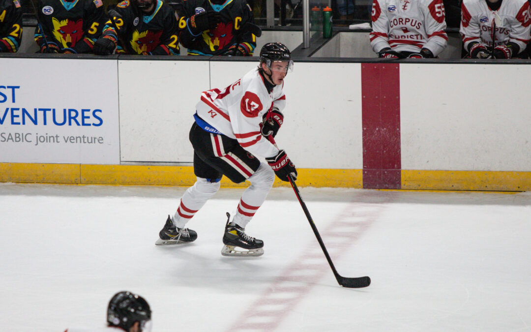 IceRays Face Off with Mudbugs in Final Home Series of Season