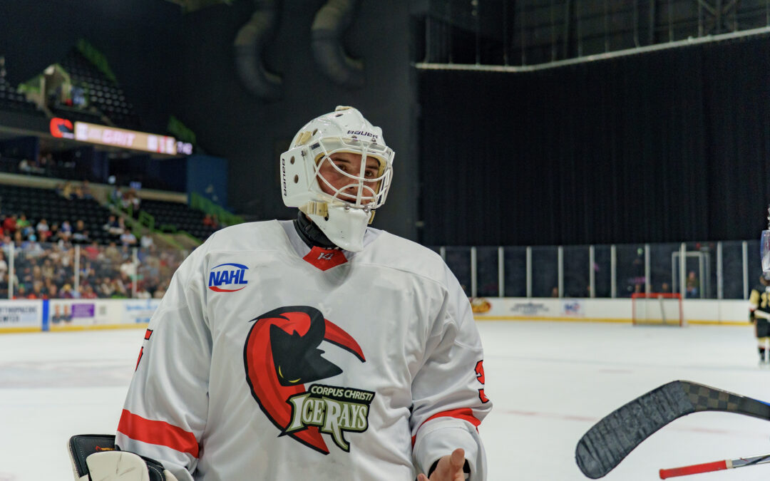 IceRays Announce Division Semi-Finals Schedule vs Mudbugs