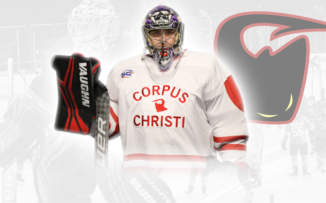 ICERAYS VLAD BRYZGALOV NAMED NAHL SOUTH DIVISION 3rd STAR AFTER 51-SAVE SHOWCASE