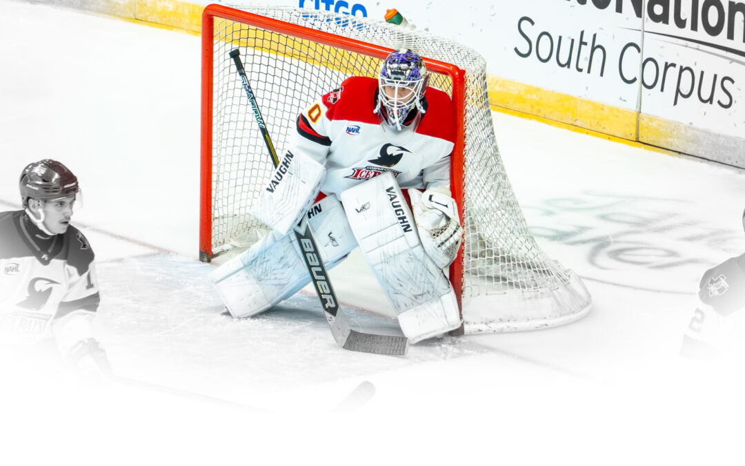 ICERAYS VLAD BRYZGALOV NAMED NAHL SOUTH DIVISION 1st STAR