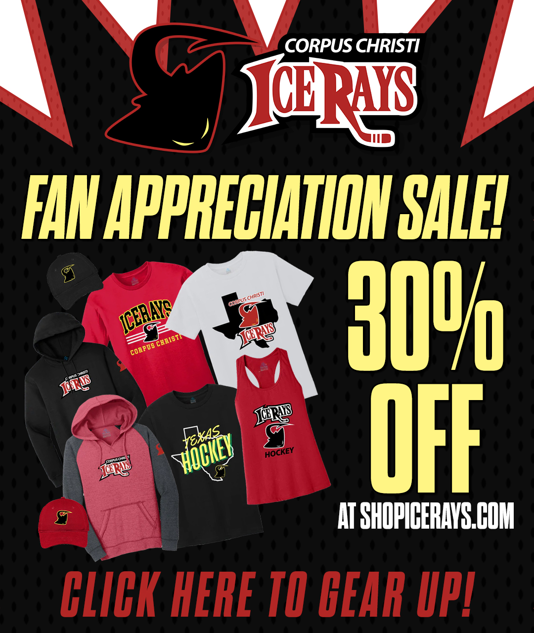 Fan Appreciation Sale - 30% off at ShopIceRays.com