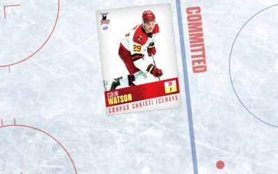 IceRays Forward Colin Watson Commits to Chatham University