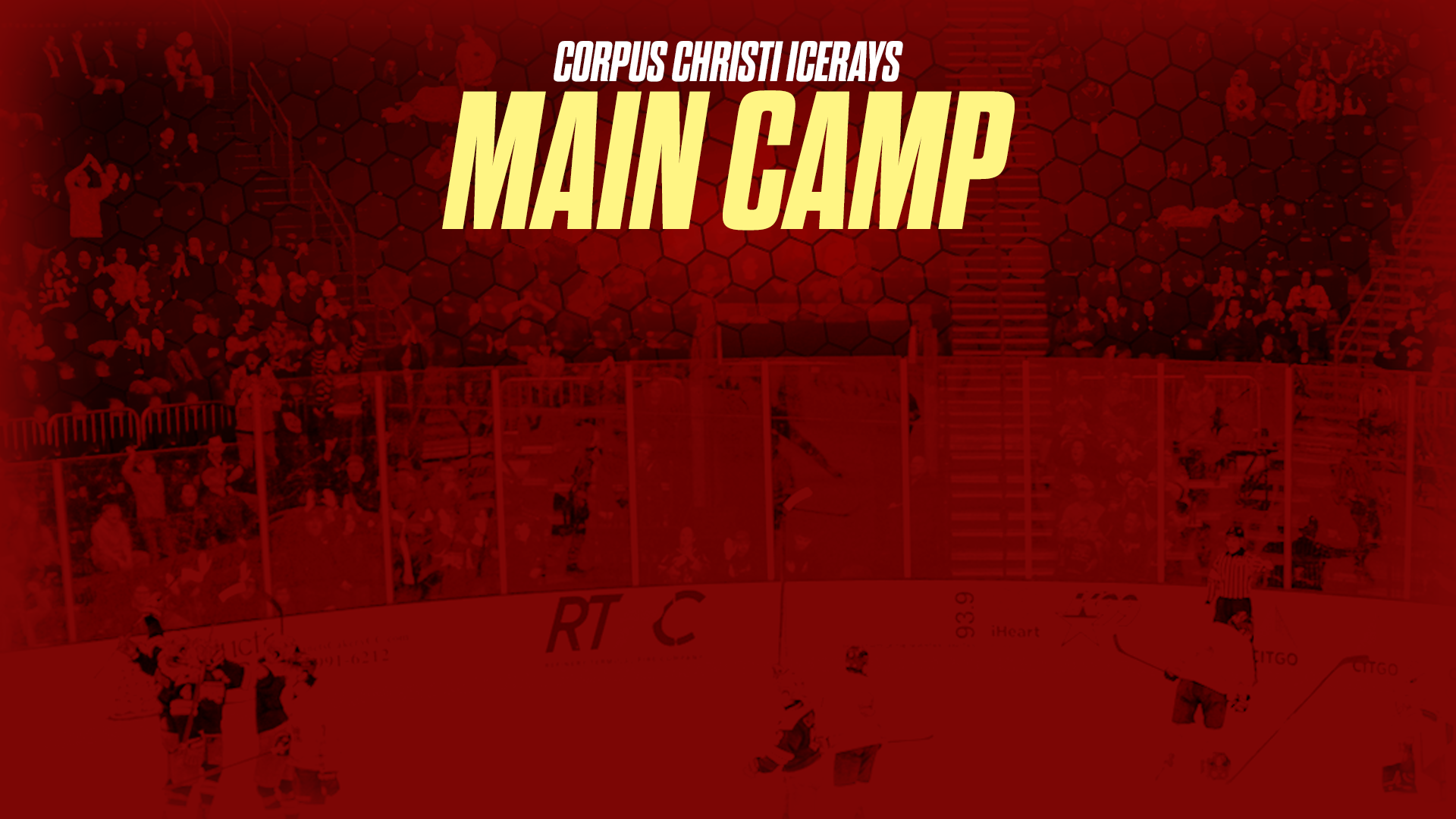 Main Camp
