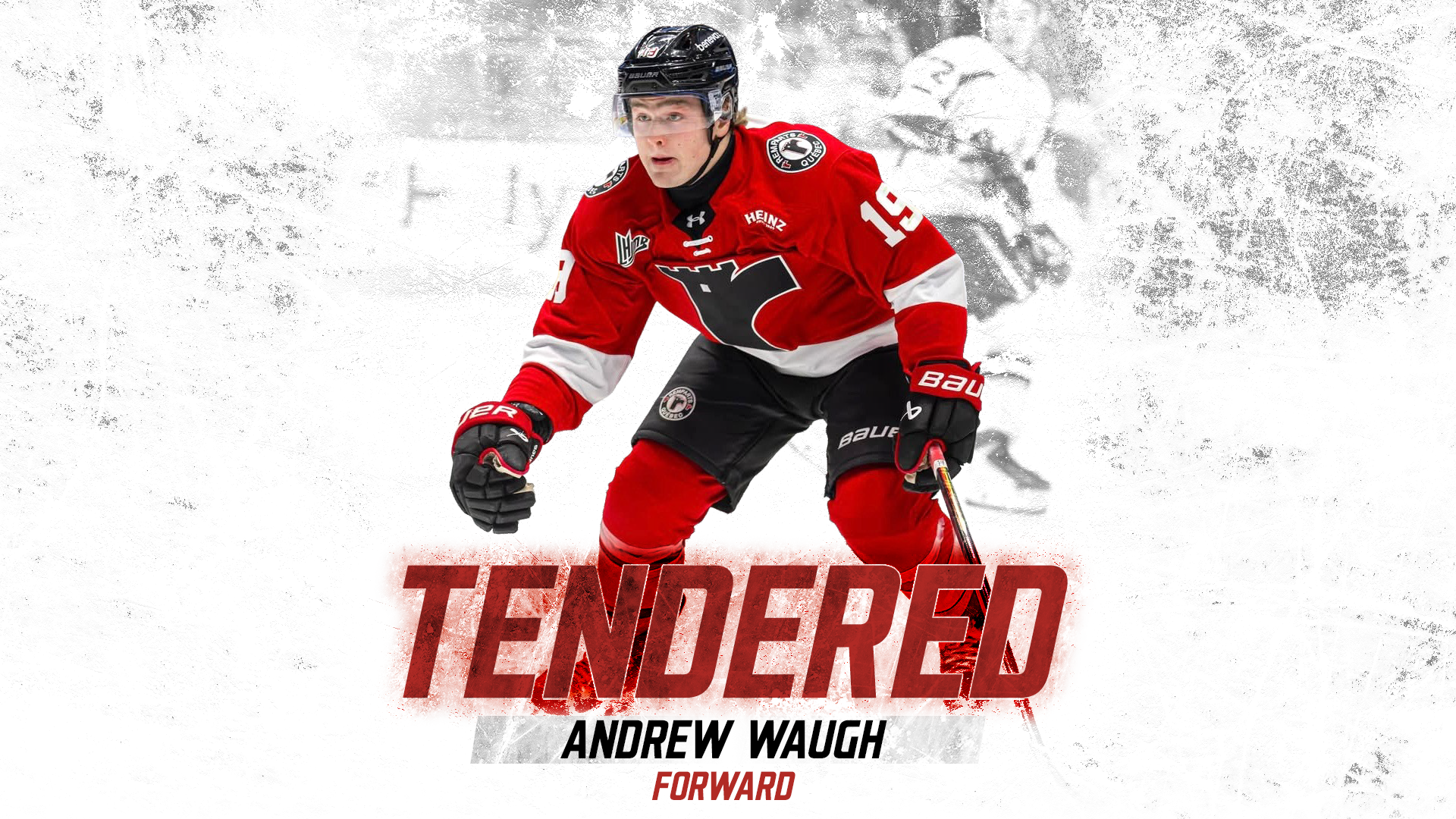 Tendered Andrew Waugh