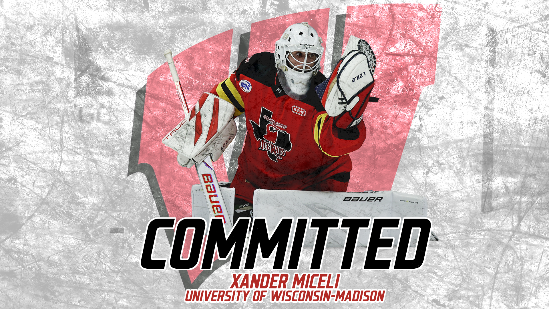 2627-website-feature-committed-miceli Committed Xander Miceli
