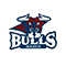 Houston Bulls