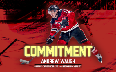 ICERAYS FORWARD ANDREW WAUGH COMMITS TO BROWN UNIVERSITY