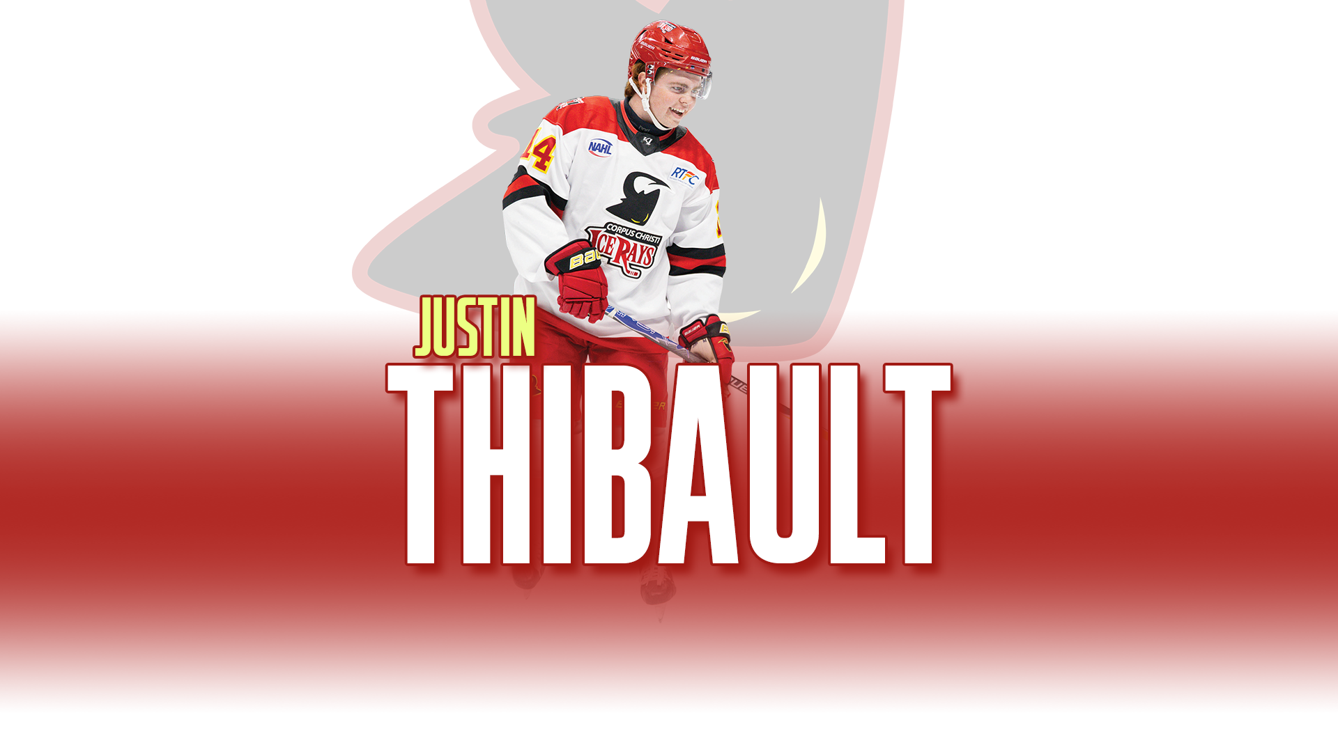 feature-thibault