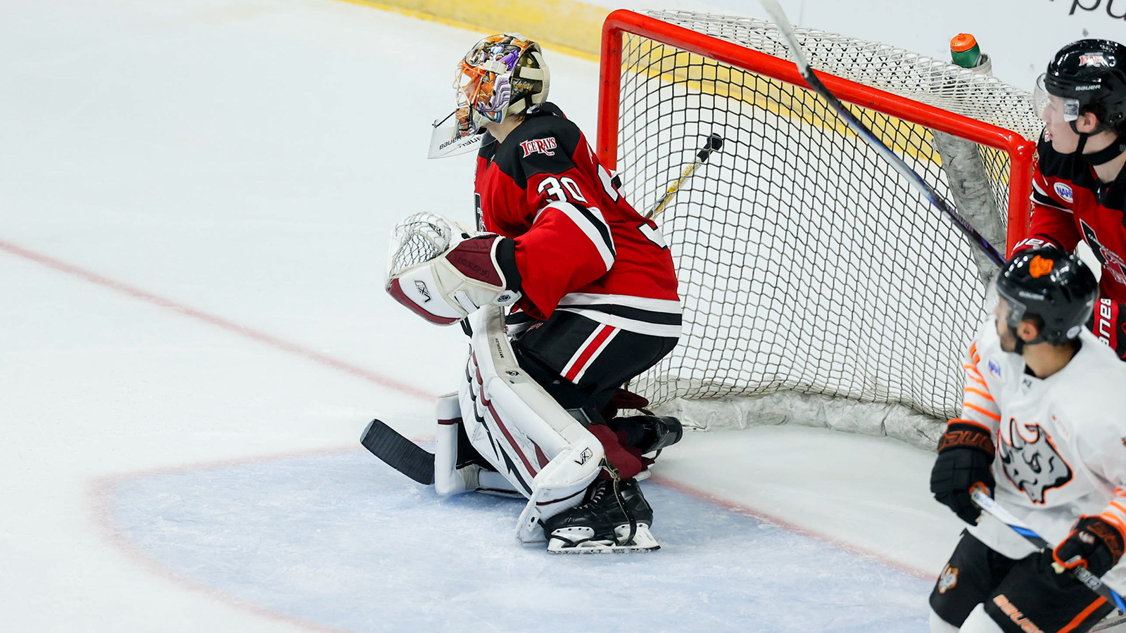 Vlad Bryzgalov Vlad Bryzgalov